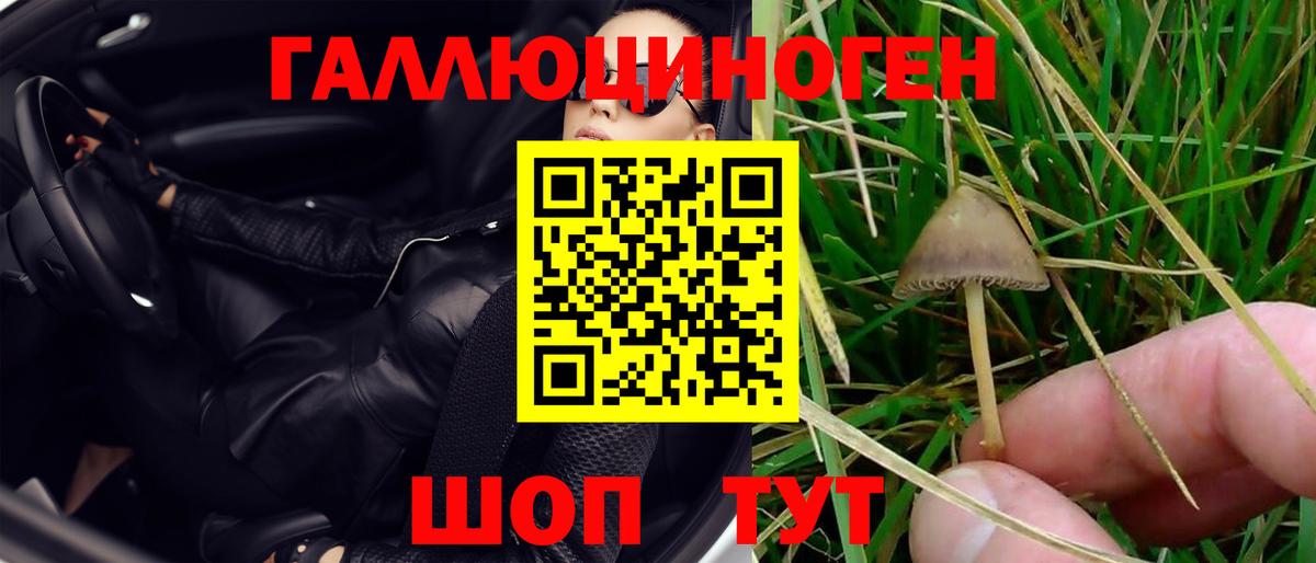 Аргун  как найти закладки  Вход с VPN  Псилоцибиновые грибы мухоморы 