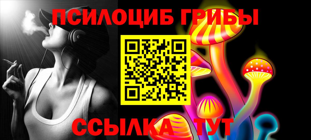 Галлюциногенные грибы Cubensis Аргун